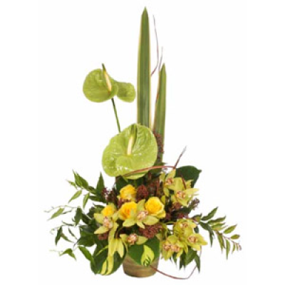 Modern Arrangements - Fresh modern flower arrangements hand made by the florist using contemporary and unusual flowers and containers.